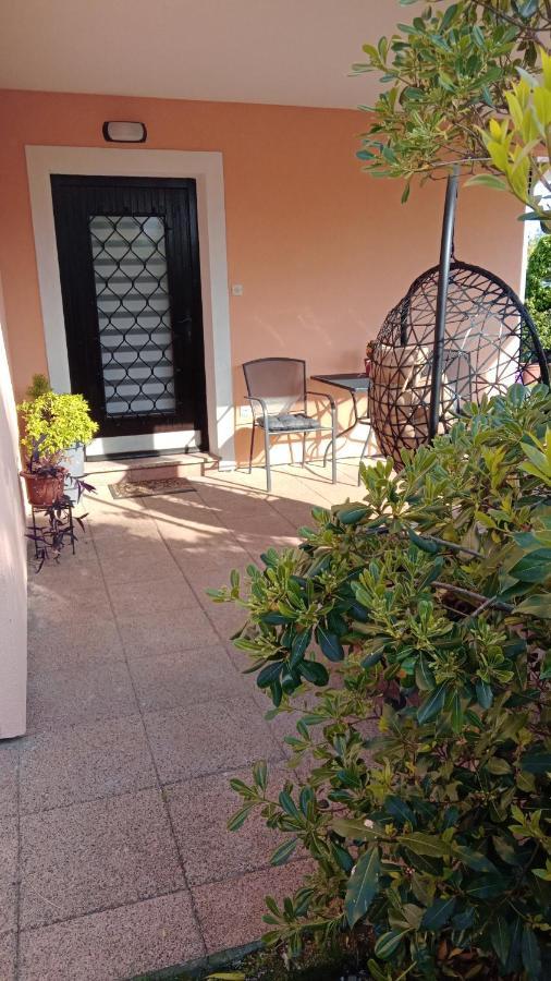 Apartment Radovic